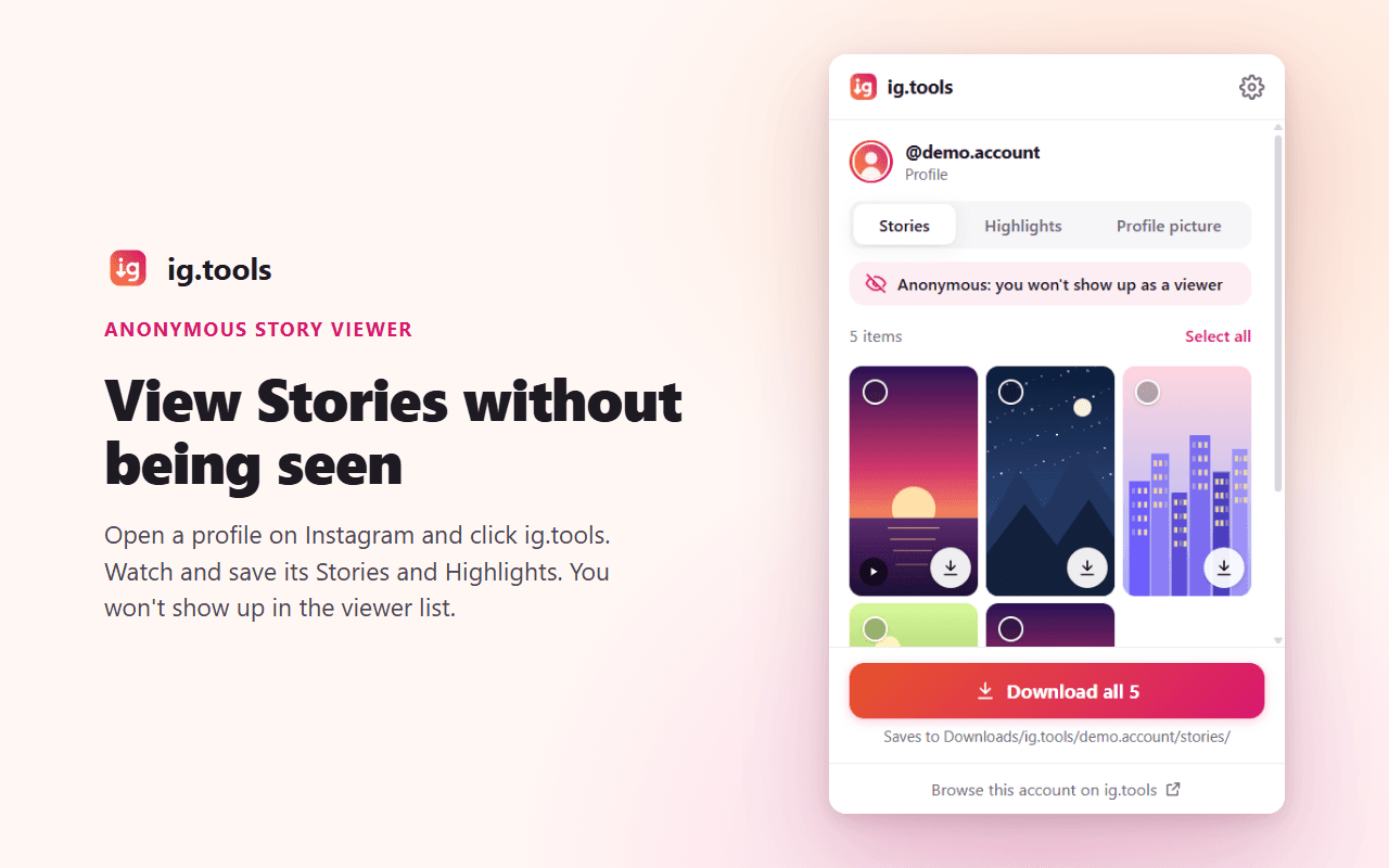 Stories de um perfil na extensão, marcados como anônimos